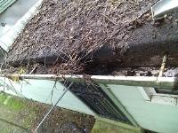 Clean Pro Gutter Cleaning Newport News image 1